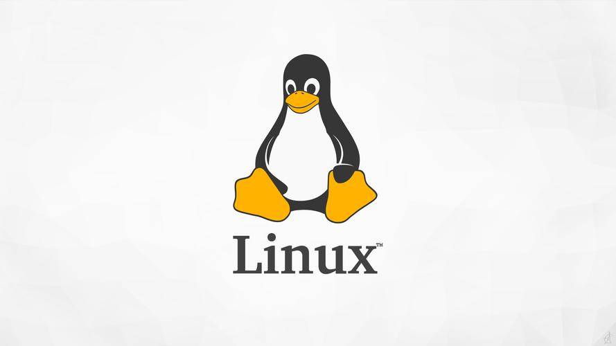 Linux压缩图片